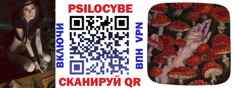 Купить где  Нахабино  Галлюциногенные грибы Cubensis 