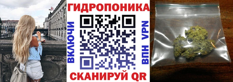 Купить где  Нахабино  Каннабис White Widow 